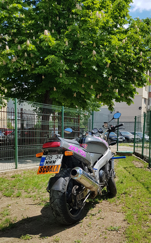 cat_a_kawasaki